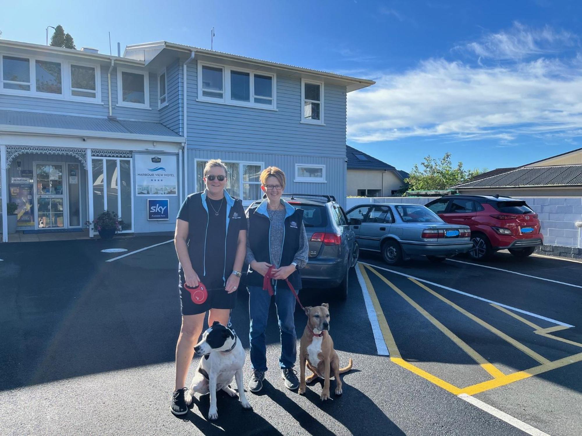 Harbour View Motel And Waterfront Apartments Tauranga Kültér fotó